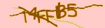 Mã bảo mật