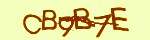 Mã bảo mật