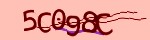 Mã bảo mật