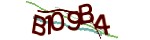 Mã bảo mật